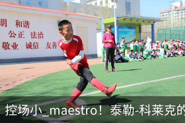 控场小 maestro！泰勒-科莱克的完美助攻秀